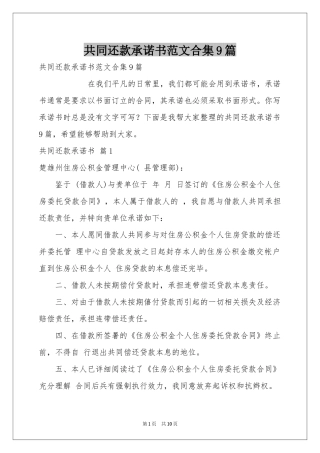 共同还款承诺书范本合集9篇