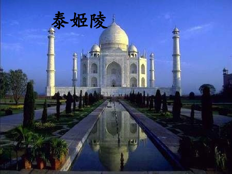 最新最新《与象共舞》课件()_第3页