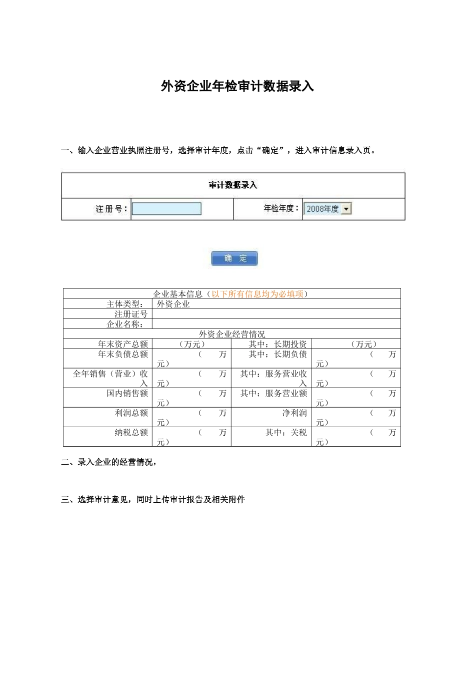 外资企业年检审计数据录入_第1页