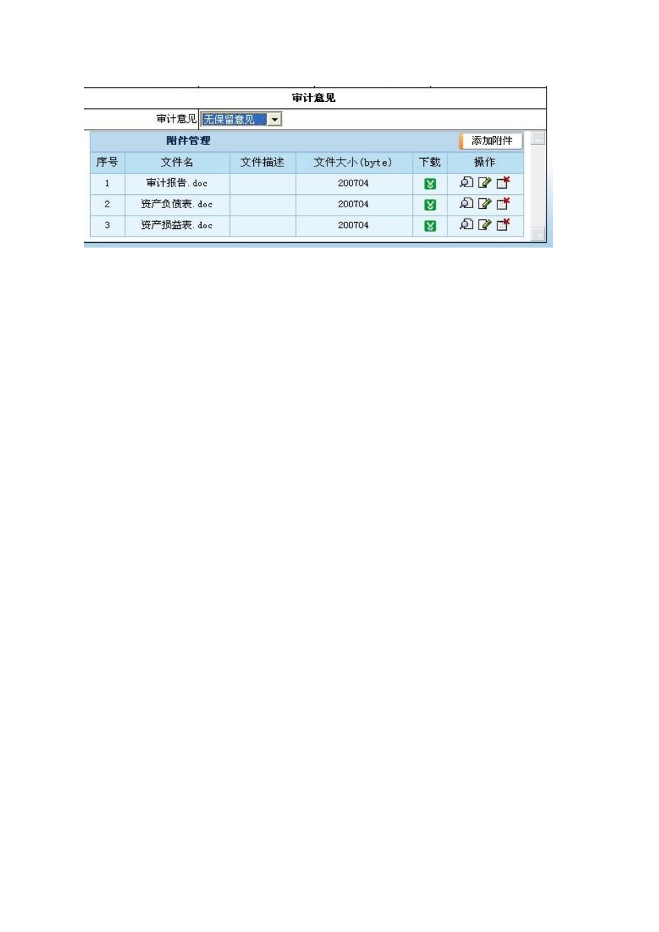 外资企业年检审计数据录入_第2页
