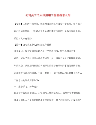 公司员工个人试用期工作总结怎么写