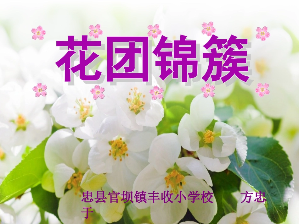 湘美版小学美术四年级花团锦簇_第1页