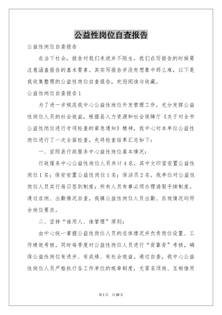 公益性岗位自查报告