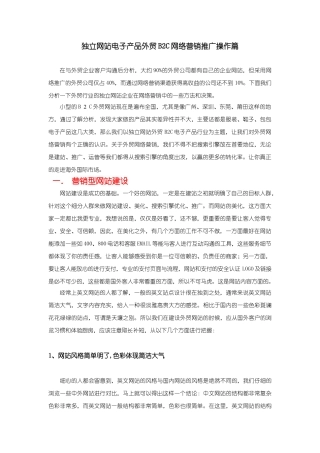 外贸B2C网络营销推广计划24830