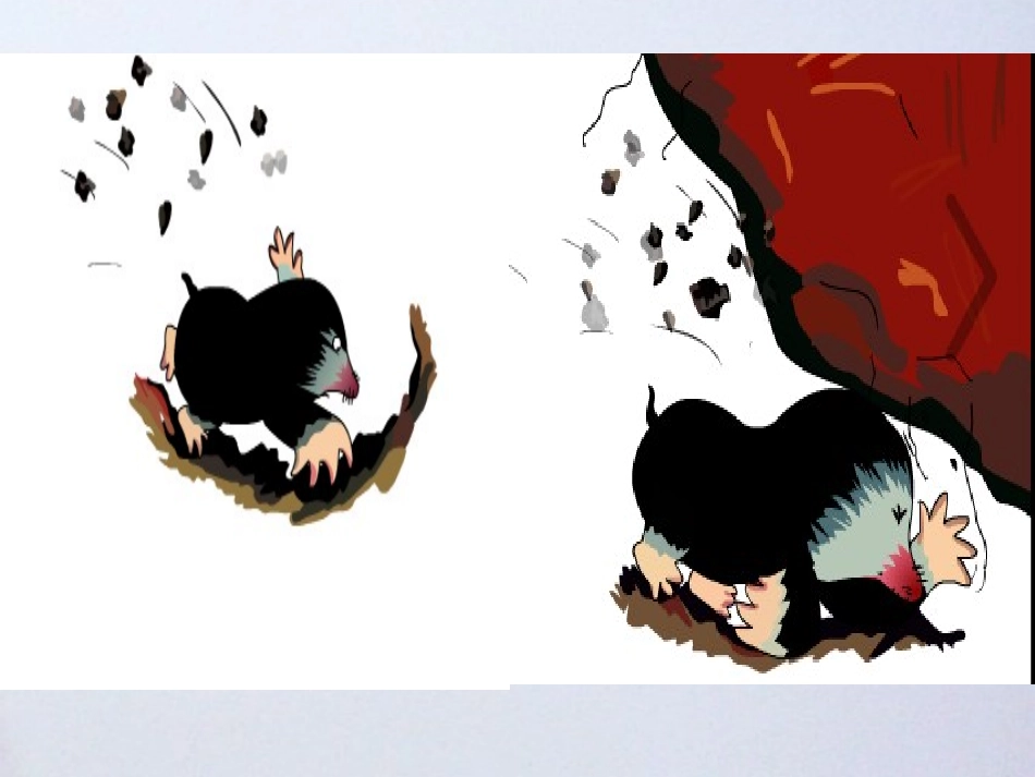 中班语言《啪啦啪啦砰》课件_第2页