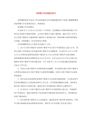 试用期工作总结格式范文