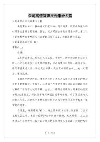 公司高管辞职报告集合5篇