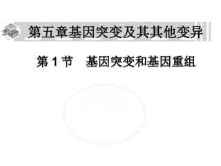 基因突变和基因重组 (2)