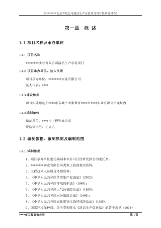 清洁生产示范项目可行性研究报告