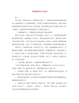 村官服务农村工作总结