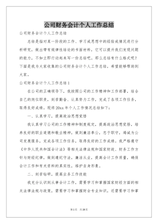 公司财务会计个人工作参考总结