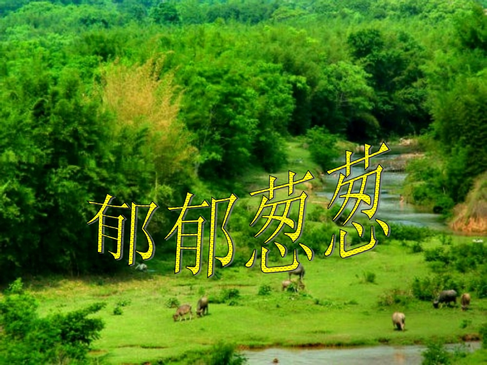 一个小村庄的故事课件()课件_第3页