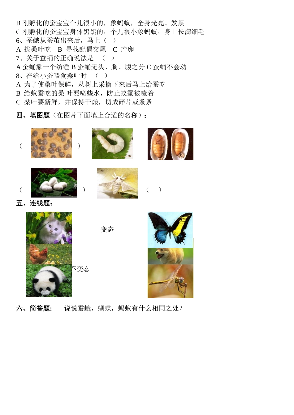 三年级科学下册第二单元动物的生命周期_第2页