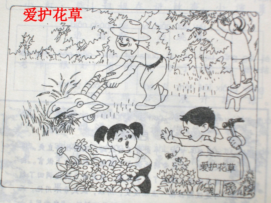 小学二年级看图写话集[1]_第1页