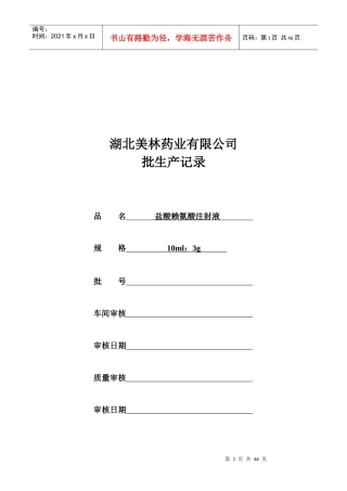 盐酸赖氨酸注射液批生产记录
