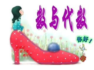 六年级数与代数