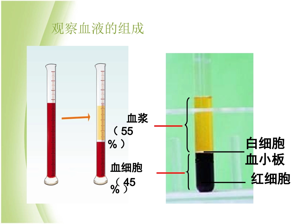 第九章人体内的物质运输第一节血液_第2页