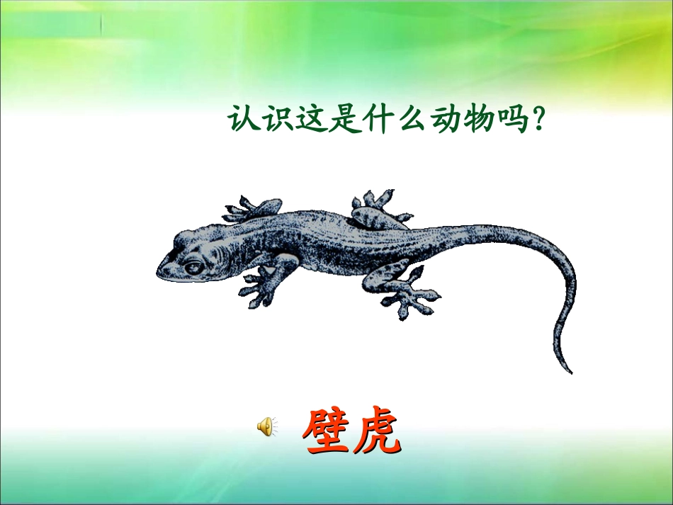 《小壁虎借尾巴》_第2页