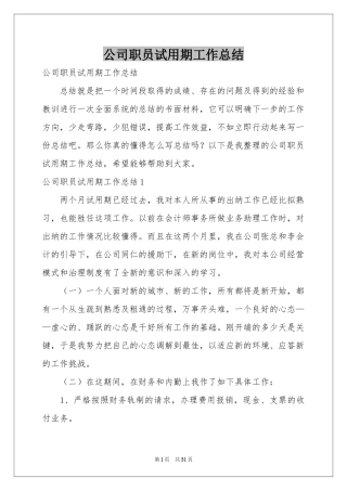 公司职员试用期工作参考总结