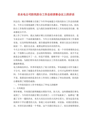 在水电公司防汛防台工作总结表彰会议上的讲话 