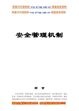 安全管理机制(doc 207)
