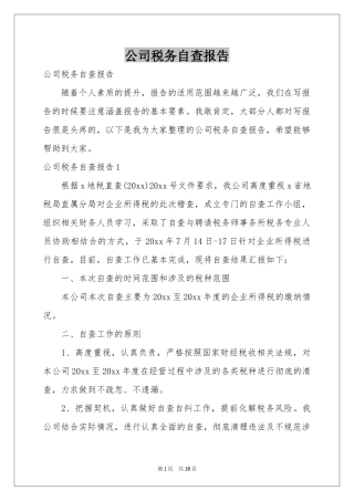 公司税务自查报告
