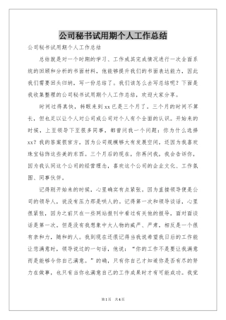 公司秘书试用期个人工作参考总结