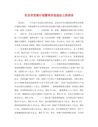 在全市发展计划暨项目促进会上的讲话 
