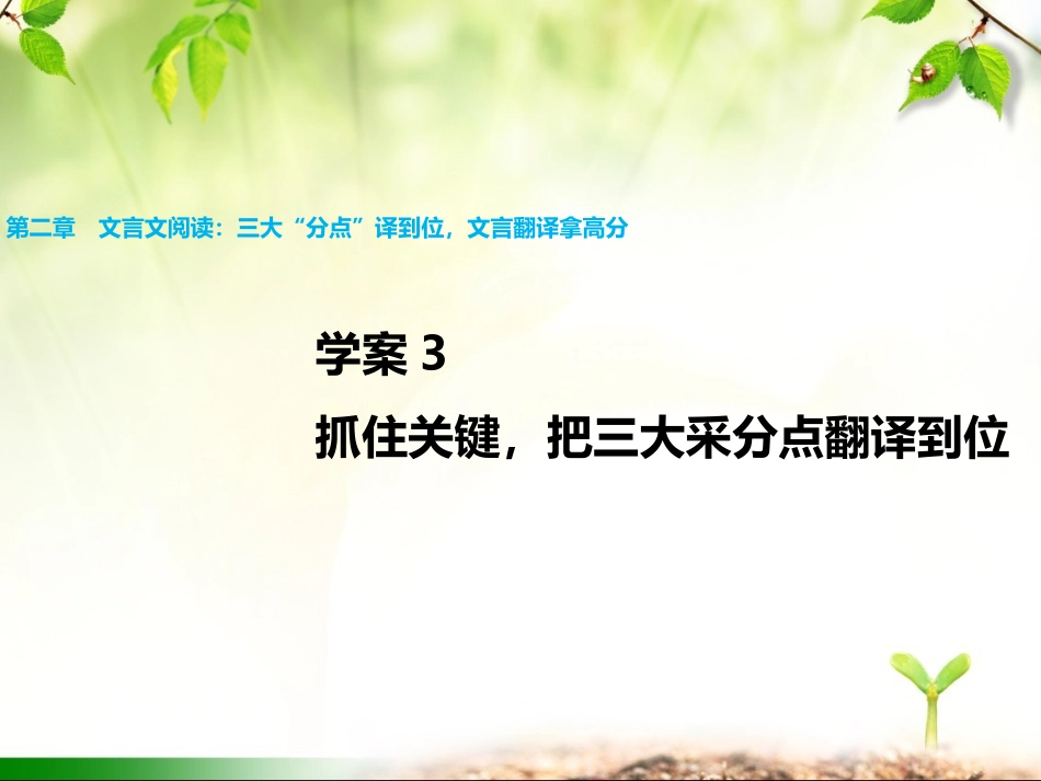第二章学案3抓住关键，把三大采分点翻译到位_第1页