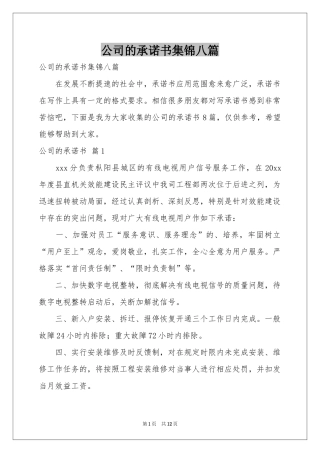 公司的承诺书集锦八篇