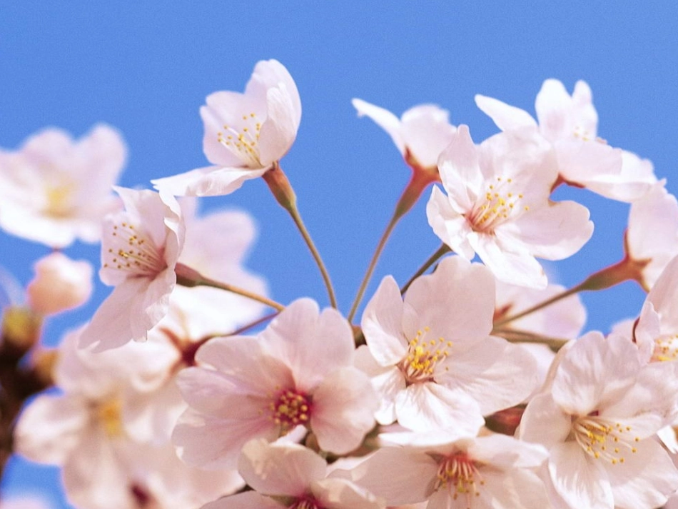 《永生的眼睛》课件_第2页