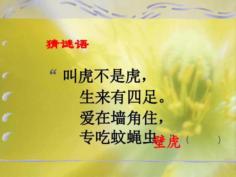 《小壁虎借尾巴》教学课件_第2页
