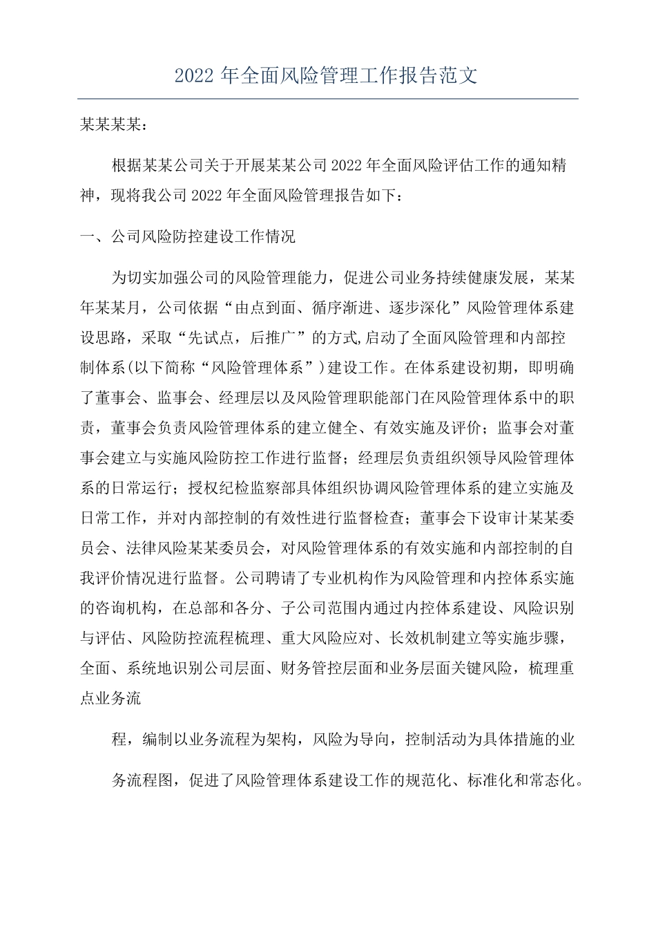 2022年全面风险管理工作报告范文_第1页