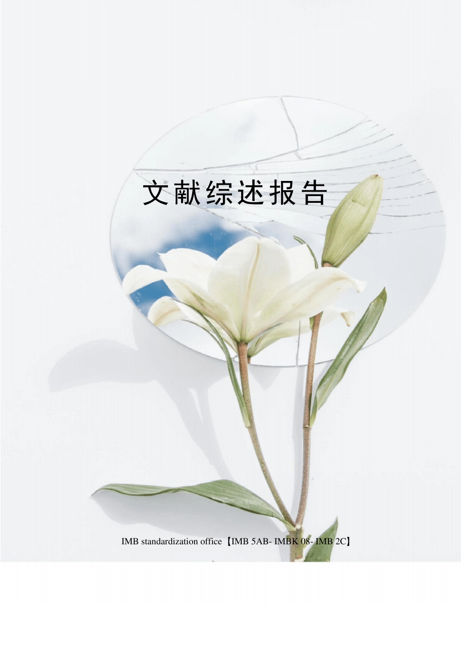 文献综述报告_第1页