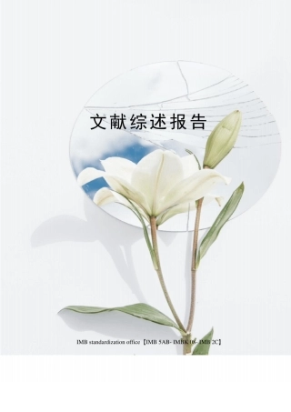 文献综述报告