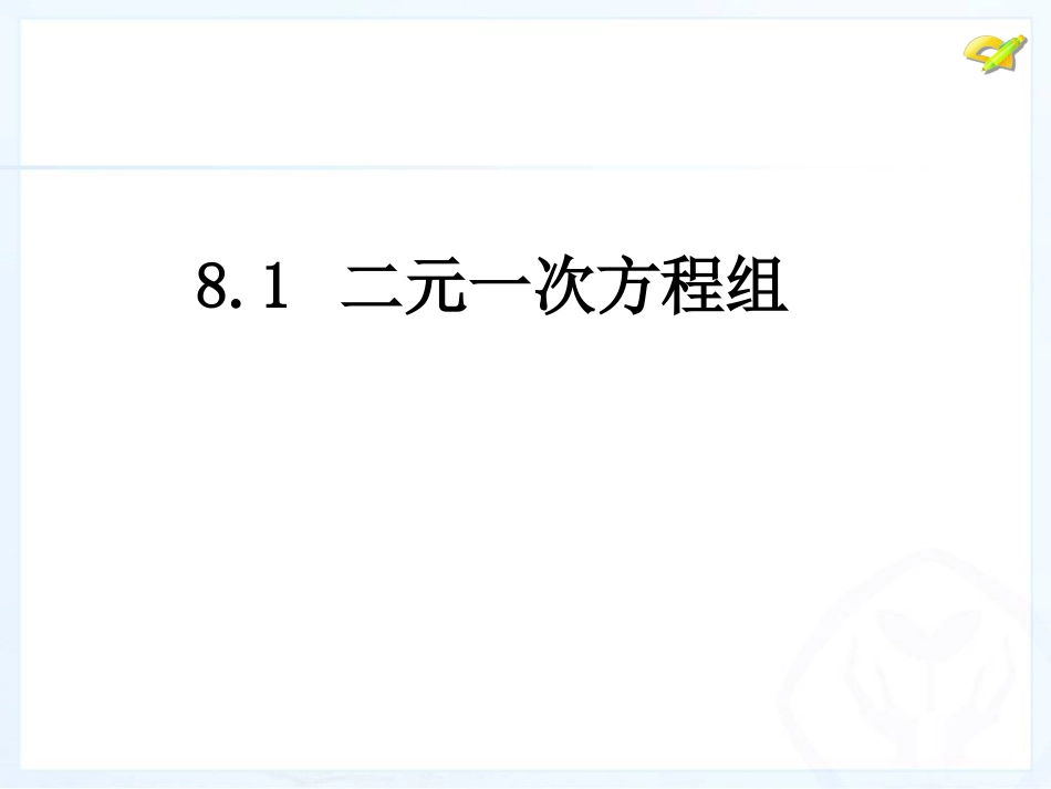 二元一次方程组 ()_第1页