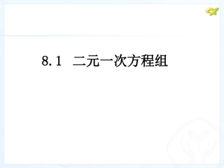 二元一次方程组 ()