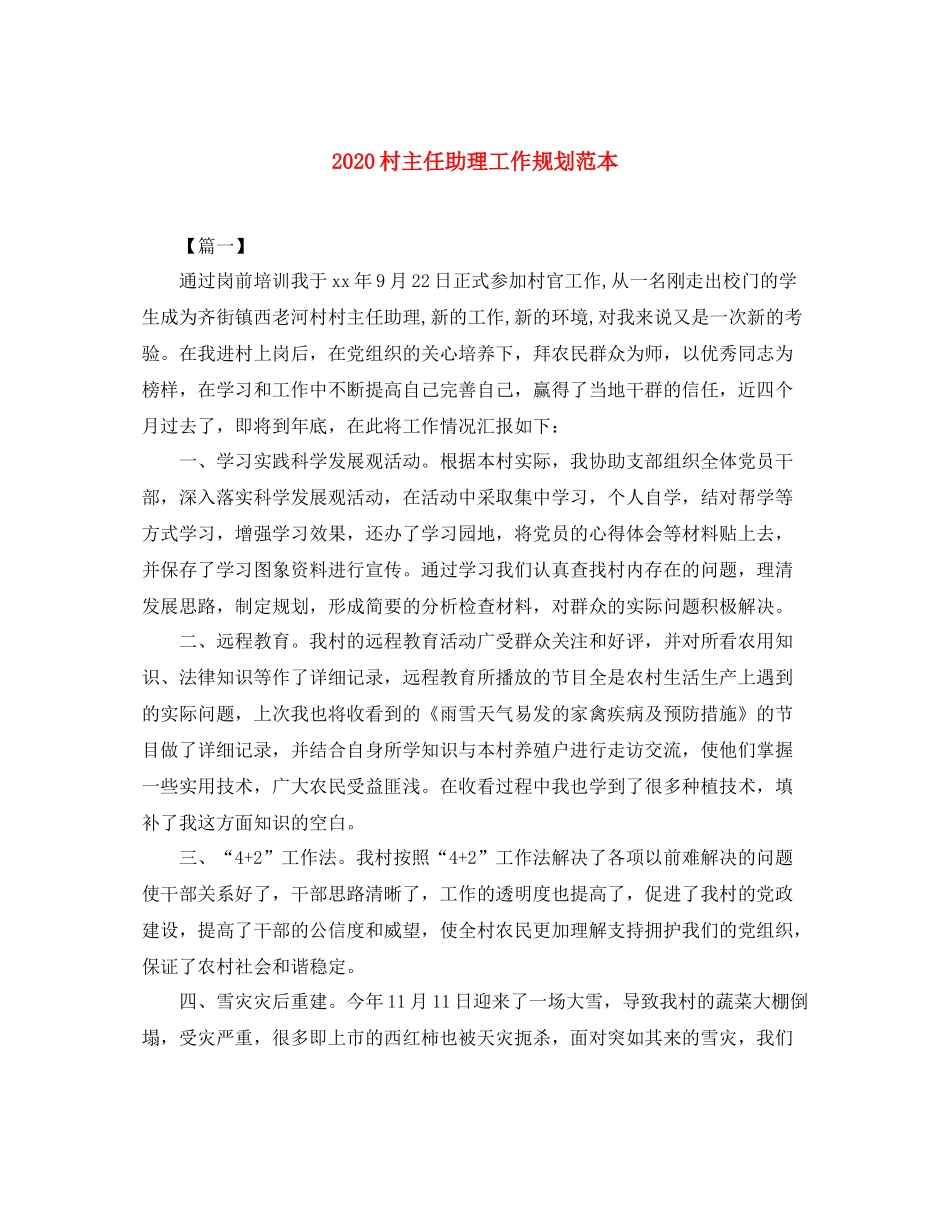 村主任助理工作规划范本_第1页