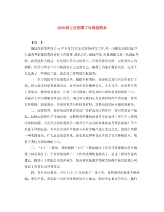 村主任助理工作规划范本