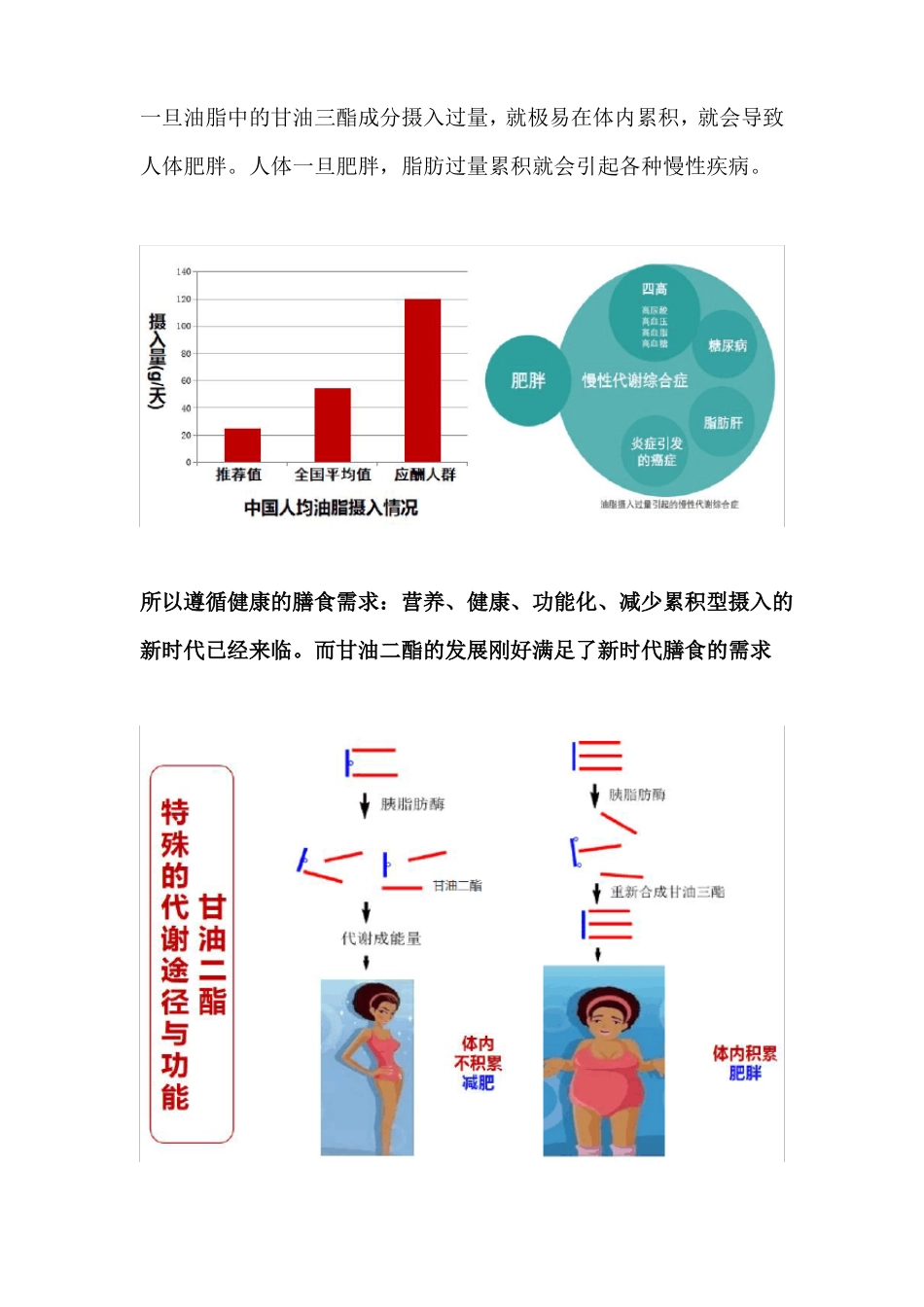 甘油二酯介绍及功能_第2页