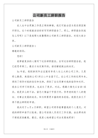 公司新员工辞职报告