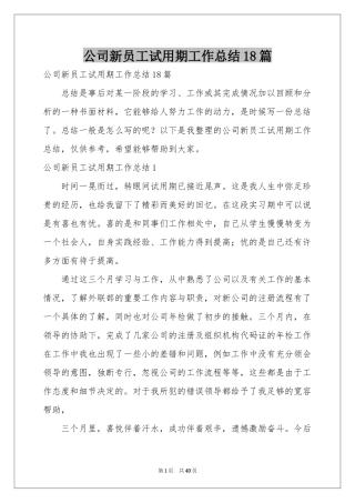 公司新员工试用期工作参考总结18篇