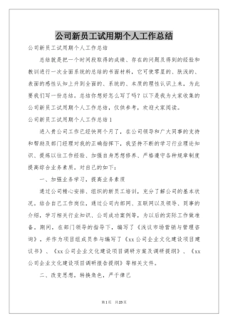公司新员工试用期个人工作参考总结