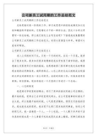 公司新员工试用期的工作参考总结范本