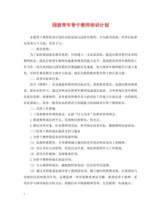 园级青年骨干教师培训计划 