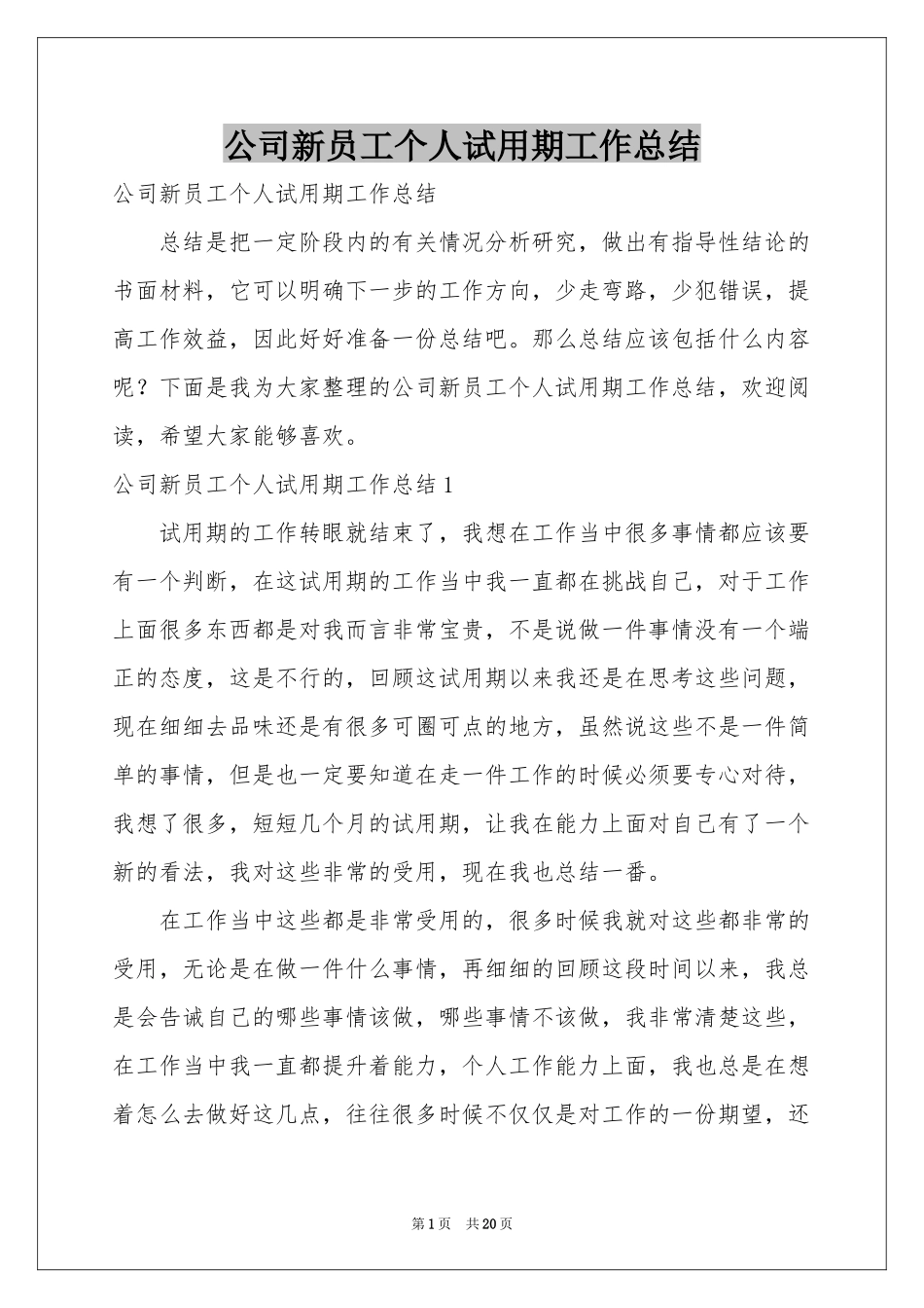 公司新员工个人试用期工作参考总结_第1页