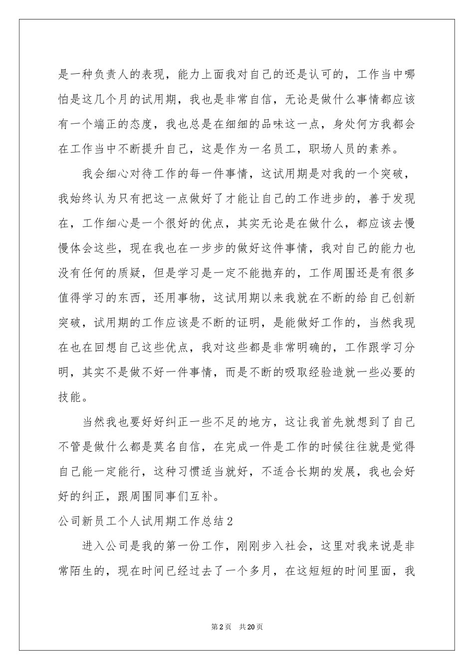 公司新员工个人试用期工作参考总结_第2页