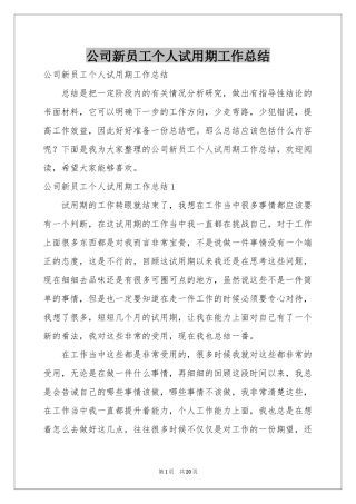 公司新员工个人试用期工作参考总结