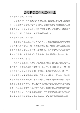 公司新员工个人工作参考计划