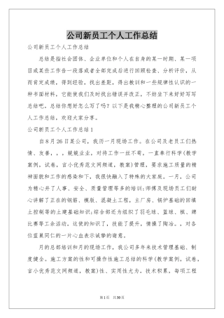 公司新员工个人工作参考总结